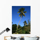 Palm Wall Mural