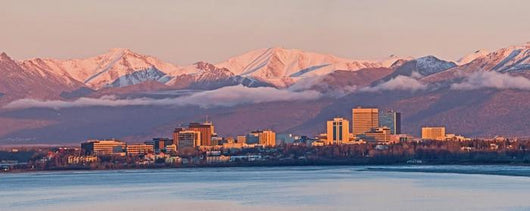 Anchorage Alaska Skyline Wall Decal