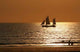 Cable Beach Wall Decal