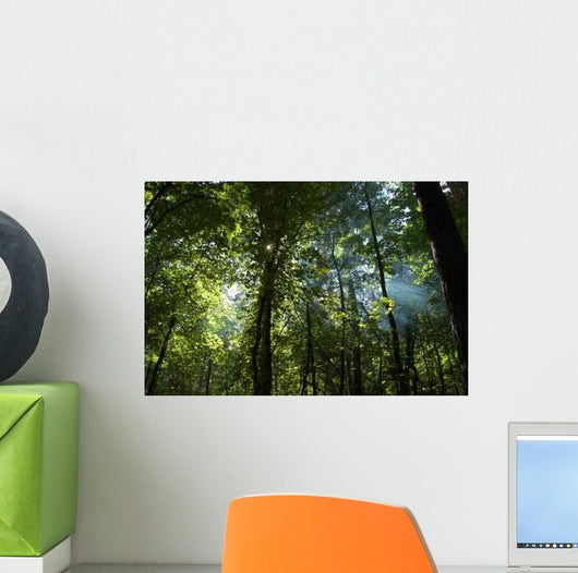 Wood Wall Decal Design 2
