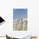 Landscape Wall Mural