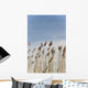 Landscape Wall Mural