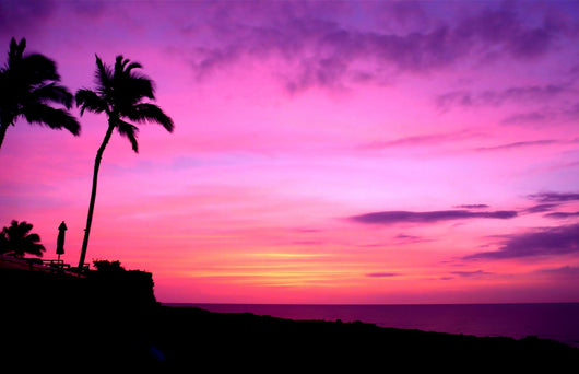 Hawaii Sunset With Palm Trees Wall Mural