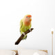 Lovebird Wall Mural