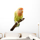 Lovebird Wall Mural