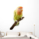 Lovebird Wall Mural