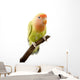 Lovebird Wall Mural