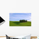 Crete Senesi Wall Decal