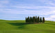 Crete Senesi Wall Decal