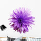 Shaggy Purple Dahlia Flower Wall Decal
