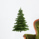 Tree isolated on white Wall Decal