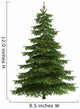 Tree isolated on white Wall Decal