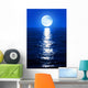 Moonlight Reflects Sea Wall Decal
