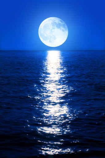 Moonlight Reflects Sea Wall Decal