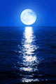 Moonlight Reflects Sea Wall Decal