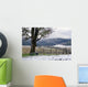 winter vineyard Wall Mural