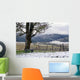 winter vineyard Wall Mural