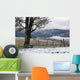 winter vineyard Wall Mural