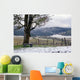 winter vineyard Wall Mural