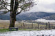 winter vineyard Wall Mural