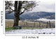 winter vineyard Wall Mural