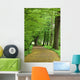 Walk Park Wall Decal Design 2