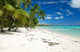Caribbean Beach Wall Decal Design 2