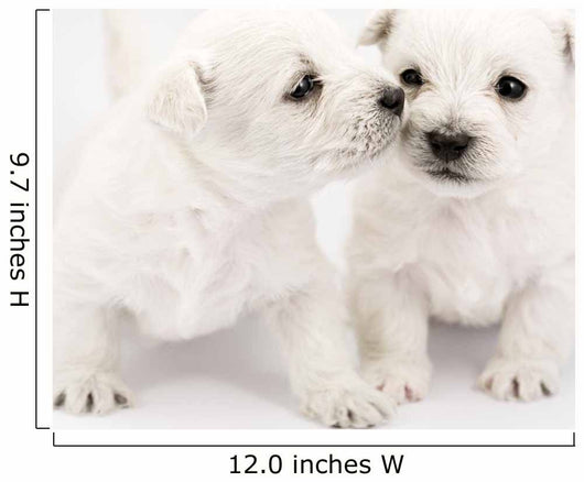 Kissing Puppies Wall Decal