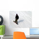 Snowboarder Snowboarding Wall Mural