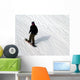 Snowboarder Snowboarding Wall Mural