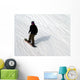 Snowboarder Snowboarding Wall Mural