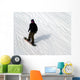 Snowboarder Snowboarding Wall Mural
