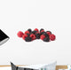 Blackberry and Raspberry Wall Decal