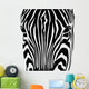testa zebra Wall Mural
