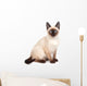 A siamese cat with bright blue eyes on a white background Wall Decal