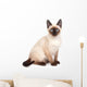 A siamese cat with bright blue eyes on a white background Wall Decal