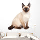 A siamese cat with bright blue eyes on a white background Wall Decal