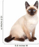 A siamese cat with bright blue eyes on a white background Wall Decal