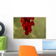 Grape Wall Mural