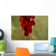 Grape Wall Mural