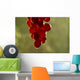 Grape Wall Mural
