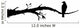 Bird Decals - Crow Sitting on a Branch Wall Decal