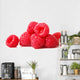 raspberry Wall Decal