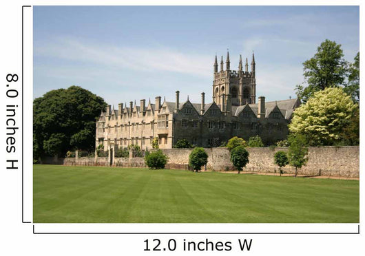 Christchurch College Wall Mural