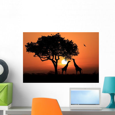 Large South African Giraffes Wall Decal shown on a wall