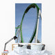 roller coaster ride Wall Mural