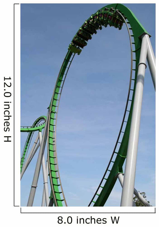 roller coaster ride Wall Mural