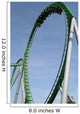 roller coaster ride Wall Mural