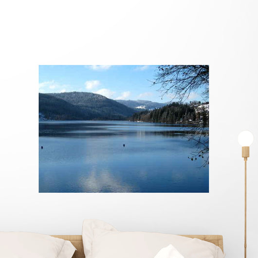 Black Forest Panorama Wall Decal