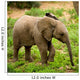 Little Elephant Wall Mural